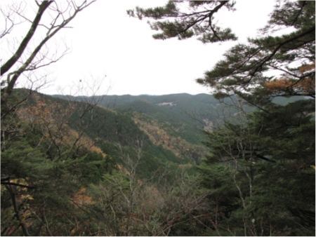 画像15